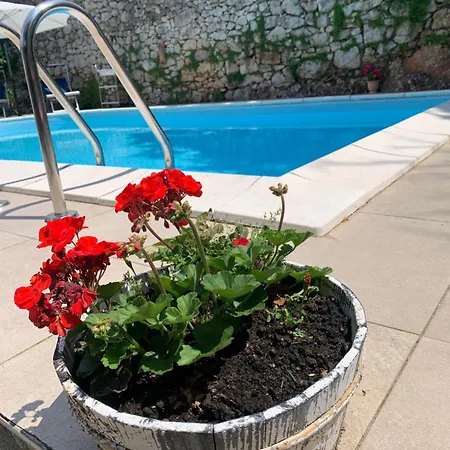 Amazing,full Privacy With Swimming Pool L & Hot Tub 빌라 Praputnjak